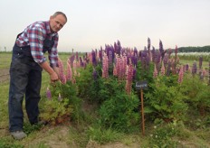 "Het eerste bed van de 7500 m2 bloemen staat in bloei. Mees: "De bloemen hebben een bijna overweldigende invloed op me vanwege hun schoonheid." Deze zomer kunnen abonnees weer zelf bloemen komen plukken op Boerderij Landzicht."