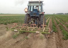 De hoekschoffelmachine haalt het onkruid weg langs de bedden.