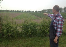 Mees wijst over de akker met twee soorten snijbiet naar de boomgaard met hoogstamfruit (appels, kersen, walnoten en peren). Met deze boomgaard levert Landzicht een bijdrage aan de schoonheid van het landschap van de Hoeksche Waard.