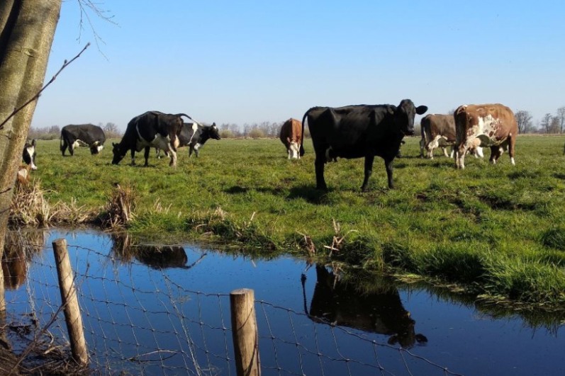 Stapsgewijs Van Gangbaar Naar Biologisch Boeren